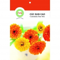 HẠT GIỐNG CALENDULA STAR MIX- CÚC SUSI CAO